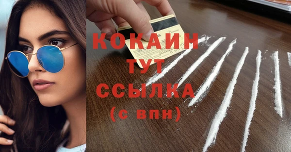 дмт Богданович